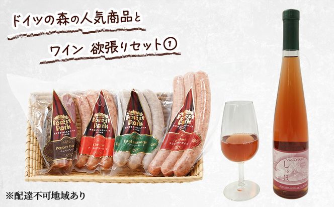 ドイツの森の人気商品とワイン 欲張りセット(1) ソーセージ 加工品 ワイン 赤磐市