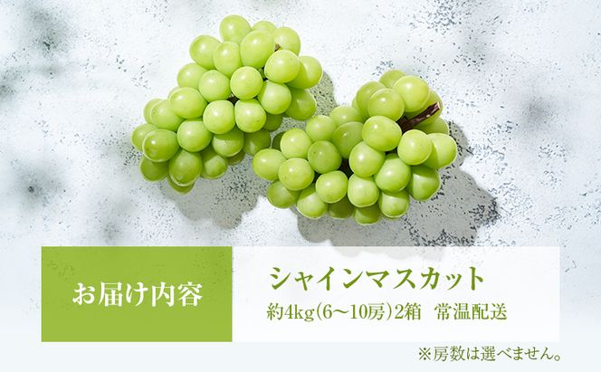 シャインマスカット 約4kg ぶどう 葡萄 フルーツ 岡山 高梁市産 2026年 先行予約 果物類 芳醇な香り 種なし 皮ごと 