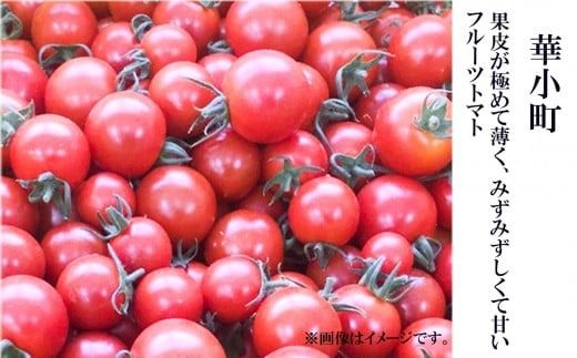【人気のスイーツトマト】本田農園のかがやきトマト1箱（約30~36個） cz006n00