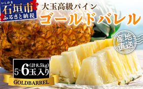【先行予約】《2025年夏季 順次発送》石垣島産・ゴールドバレルパイン 大玉5～6個入り SI-8-2