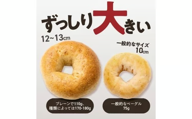 【毎日食べても飽きない】わっぱ堂のプレーンベーグル8個セット パン 自家製 個包装 焼きたて 便利 グルメ 高リピート 食べ比べ 詰め合わせ 朝食 おやつ ぱん 食品 瞬間冷凍 　H049-048