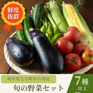 七宗町から発送　新鮮野菜詰めあわせセット(季節の野菜7～8種類) ※北海道・沖縄・離島への配送不可
