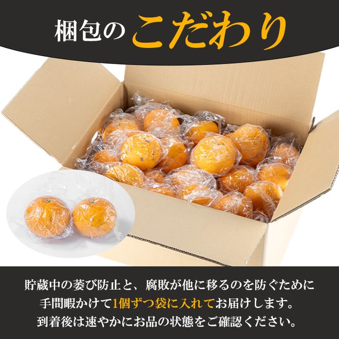 訳あり！鹿児島県産まかない紅甘夏(約20kg) 国産 鹿児島産 柑橘 訳アリ 果物 フルーツ 旬 常温保存 紅甘夏 ベニアマナツ 数量限定 期間限定 規格外 デザート 阿久根市産【三笠農業生産】akn051-05