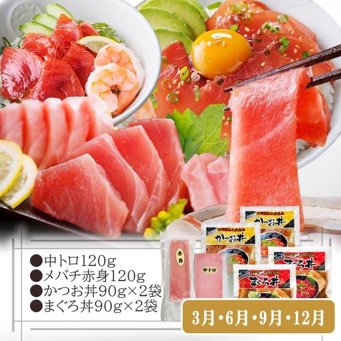定期便3回配送　鰹とまぐろのお魚定期便　QQ-0005 【1543247】