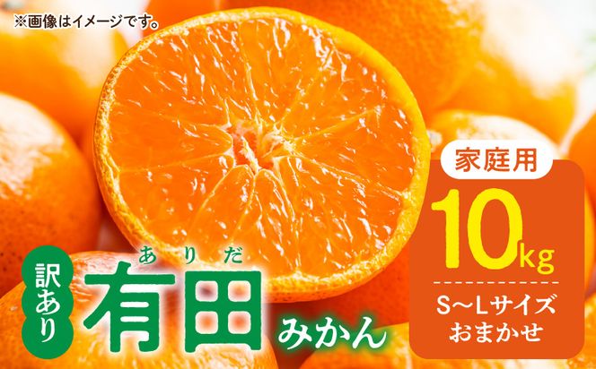 DZ6201_01_【2027年1月発送】ご家庭用 有田みかん 和歌山 S～Lサイズ 大きさお任せ 約10kg