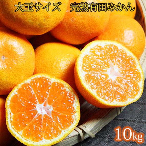 【先行予約】大玉サイズ　完熟有田みかん　１０kg