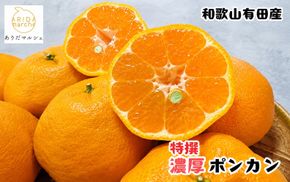 【先行予約】極甘 柑橘 特撰 濃厚 ポンカン 約5kg+200g(傷み補償分)※2027年1月上旬～3月上旬に順次発送 ※北海道・沖縄・その他離島地域は発送不可【ard244A】