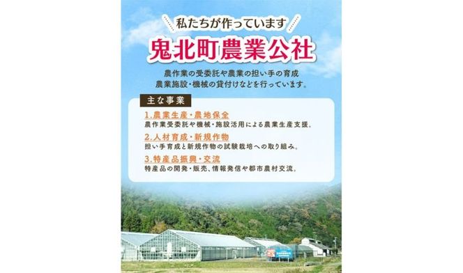 菌床しいたけ 900g（2L～3L）24個 ｜ 肉厚 収穫直後 新鮮 旨味たっぷり 菌床栽培 国産 きのこ キノコ 野菜 料理 食品 産地直送 自宅用 愛媛県鬼北町　※離島への配送不可　※2026年7月下旬頃までに順次発送予定