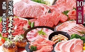 定期便(1年で10回配送)枕崎お楽しみ便(A5等級黒毛和牛・黒豚・黒豚加工品etc) II-6002 【1166753】