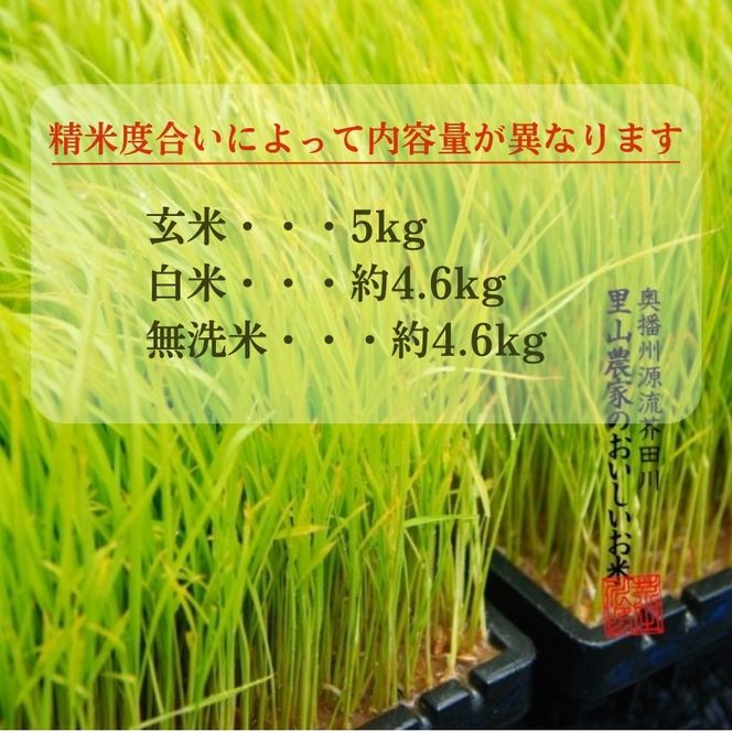 米 【令和8年産 予約受付】 コシヒカリ 5kg精米 奥播州源流 芥田川産 芥田川 農家直送 5キロ 国産米 こしひかり  贈り物 喜ばれる お米ギフト おいしいお米 お祝い 内祝い 贈答 美味しい おいしい 
