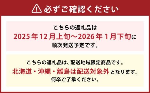 博多あまおう（冬） 約250g～270g×4パック 計約1kg～1.08kg【2025年12月上旬-2026年1月下旬発送予定】 いちご 苺 イチゴ 果物 フルーツ