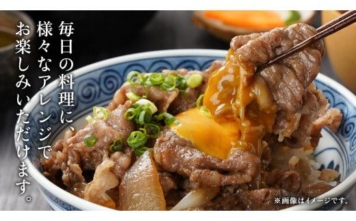 【 常陸牛 】  ＼選べる発送時期／【 常陸牛 】切り落とし 900g（450g×2パック） ( 茨城県共通返礼品 ) 牛肉 国産 牛 肉 切り落とし肉 切落し 小分け お肉 A4 A5 ブランド牛 黒毛和牛 和牛 国産黒毛和牛 国産牛 すき焼き すきやき 小分け