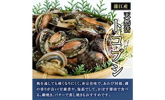 天然 トコブシ (約900g) 鮮魚 魚介 貝 トコブシ とこぶし 酒蒸し 網焼き バター焼き バーベキュー 獲れたて 冷蔵 海の直売所 大分県 佐伯市【AS82】【海べ】
