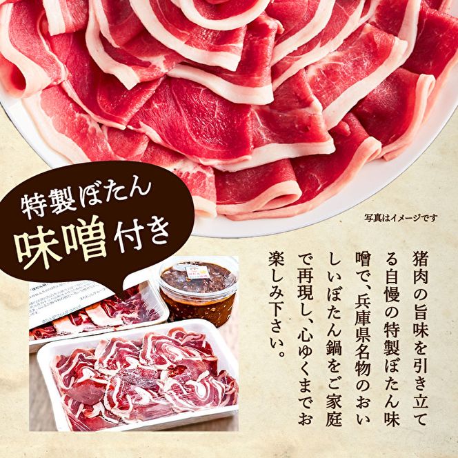 ぼたん鍋 セット 5～6人前[ 鍋 ジビエ 猪肉 ] お肉 味噌 みそ いのしし ぼたん味噌