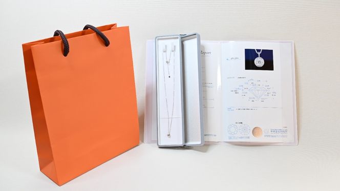 Ｋ18イエローゴールド　最上等級カラーDカラー天然ダイヤモンド　大粒0.50ｃｔ　ふせこみネックレス FNP-10 250-010