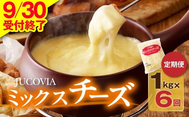099Z337 【9/30受付終了】JUCOVIA ミックスチーズ 定期便 1kg×全6回【小分け 普段使い 高評価 ちーず 乳製品 ムラカワチーズ 一人暮らし ファミリー ピザ トースト】