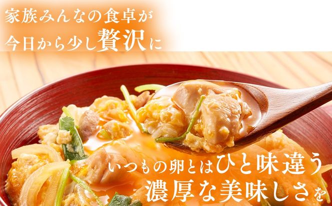 【定期便】10回定期 【天王原のたまご】 ロイヤル卵50個入り【定期便 10回定期便 セット たまご 卵 玉子 タマゴ 濃厚 ハリ 弾力 ボリューム 甘味 旨味 卵黄 風味 生 コク 甘味 卵かけご飯 卵焼き 目玉焼き オムレツ 茶碗蒸し お菓子作り パンの材料】