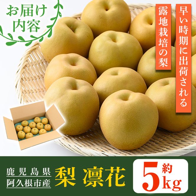 ＜先行予約受付中！2026年7月下旬以降順次発送予定＞数量限定！鹿児島県産梨＜品種：凛夏＞(約5kg・10～20個前後)国産 果物 くだもの フルーツ 旬 果実 ナシ なし デザート 露地栽培 りんか 凛夏 期間限定【三笠農業生産】akn051-08