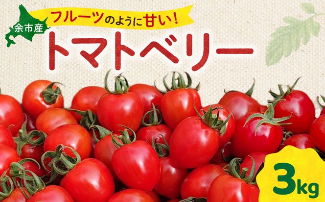 いちご型ミニトマト 「トマトベリー」 3Kg 自根栽培 濃厚 野菜 寒暖差 甘い 子供 サラダ_Y165-0001
