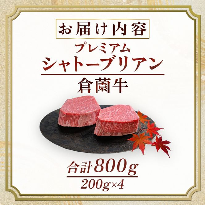 【プレミアムシリーズ】厳選宮崎牛メス指定 A5等級シャトーブリアン 800g（国産 牛肉 国産牛 和牛 黒毛和牛宮崎牛 赤身 ヒレ シャトーブリアン ステーキ 焼肉）