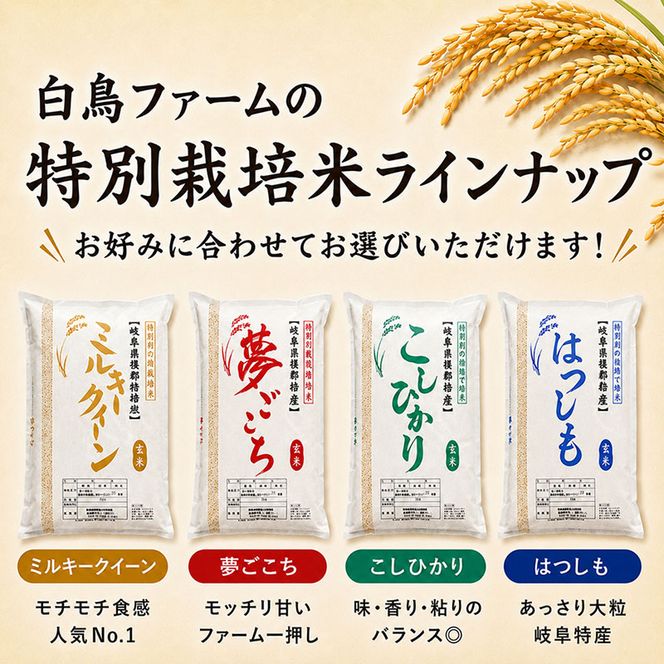 【令和7年産】特別栽培米 20kg【玄米】（ハツシモ）