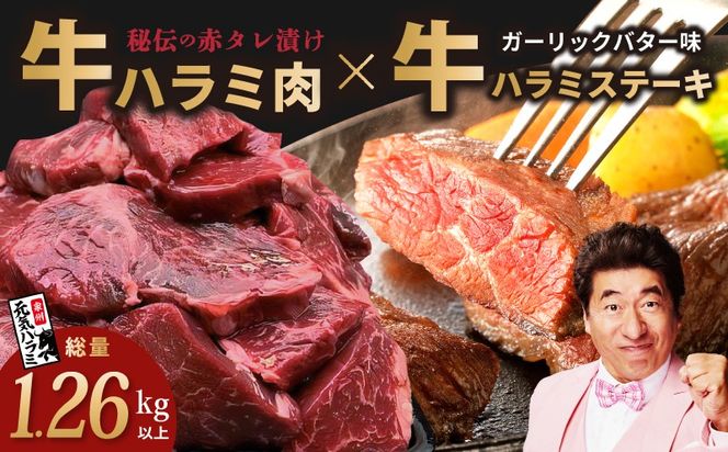 015B561 【総量1.26kg以上】ハラミ好きに贈る!ハラミだけの満足焼肉セット