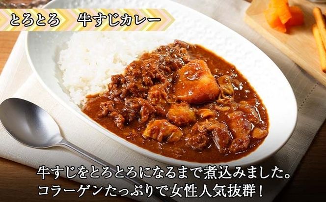 熨斗対応 北海道 倶知安 カレー 3種 食べ比べ セット 計6個 中辛 スープカレー ビーフ ポーク 牛すじ カレー 詰め合わせ じゃがいも 牛 牛肉 豚肉 肉 業務用 