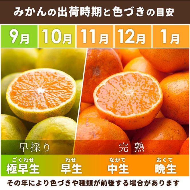 家庭用 完熟 有田みかん2.5kg+250g（傷み補償分）サイズ混合