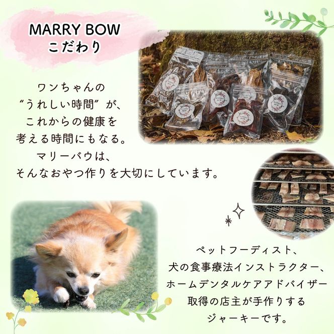 わんちゃん 用 コラーゲン たっぷり ジャーキー セット 4袋 200g 無添加 国産 手作り 低脂肪 愛犬用 ペット おやつ 犬用 愛犬 ワンちゃん 犬 鶏肉 砂肝 シルバースキン 銀皮 ネコ 猫 ねこ 動物 ペットフード 静岡 藤枝