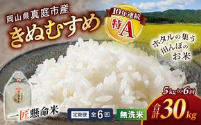 ★配送タイミングを指定できる！ ＜定期便全6回＞ 令和8年産 真庭市産きぬむすめ 無洗米 5kg×6回 / お米 国産 岡山県 米 人気 ブランド 2026年産 【tkns-tkb020】