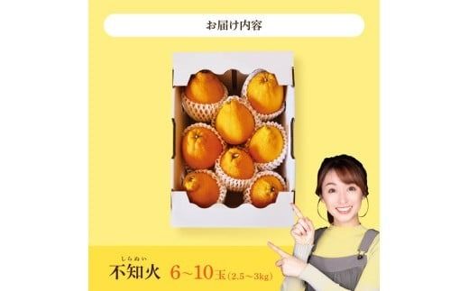 宮崎県川南町産「不知火（しらぬい）」６～１０玉 【 先行予約 季節限定 果物 くだもの フルーツ しらぬい 不知火 みかん 】 [C06705]
