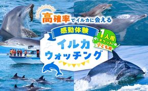 南島原 イルカウォッチング 子ども用 1人用 チケット / イルカ 観光 南島原市 / 南島原イルカウォッチング[SAE003]