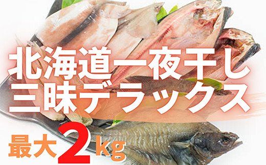 北海道一夜干し三昧デラックス 最大2kg 計10尾 訳あり 一夜干し