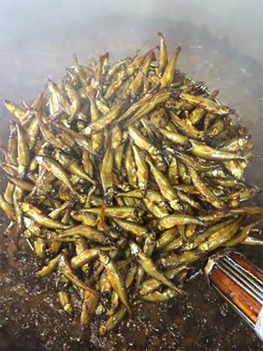 【琵琶湖の四季のおもてなし】近江ふるさとの味セット(４種)【D002W】（滋賀県　近江八幡市）