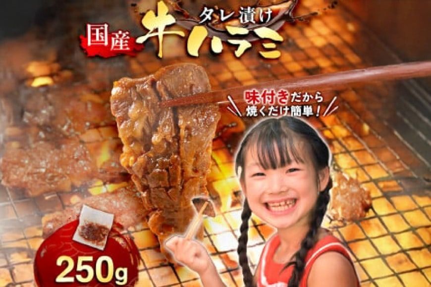 牛肉 焼肉 国産 特製たれ漬 牛ハラミ サガリ 250g [宇美ホルモン 福岡県 宇美町 um40azp100002] ハラミ はらみ 牛はらみ 牛 肉 焼き肉 ホルモン タレ漬け たれ漬け