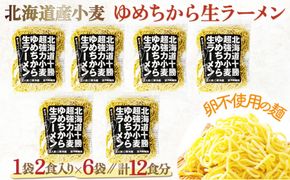 【卵不使用】北海道十勝産ゆめちから生ラーメン 12食セット 化粧箱入 (麺のみ) | ラーメン らーめん 拉麺 中華そば ramen 生麺 卵なし アレルギー コシ もちもち 大容量 国産 冷蔵 望月製麺所