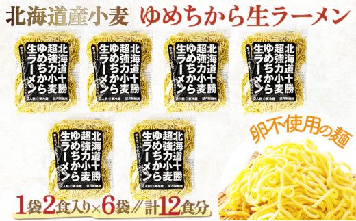 【卵不使用】北海道十勝産ゆめちから生ラーメン 12食セット 化粧箱入 (麺のみ) | ラーメン らーめん 拉麺 中華そば ramen 生麺 卵なし アレルギー コシ もちもち 大容量 国産 冷蔵 望月製麺所