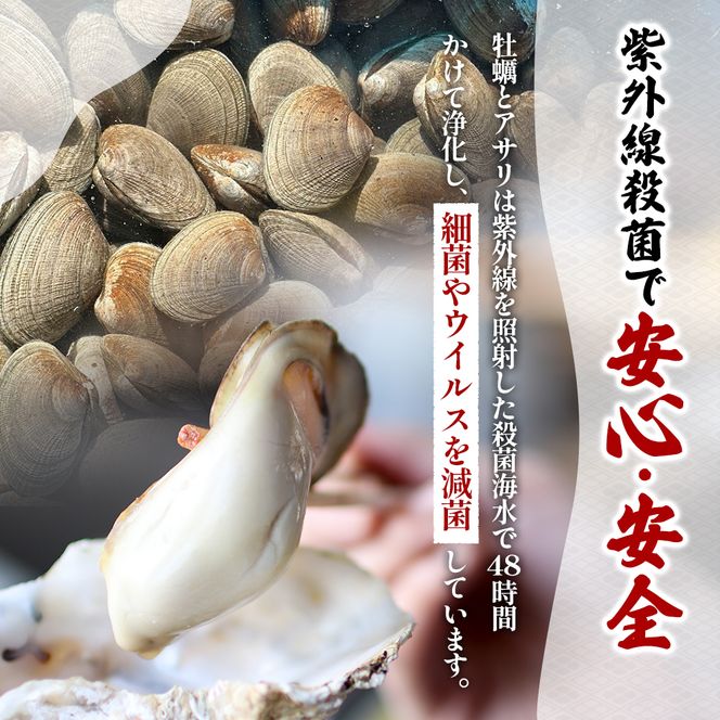 訳あり 北海道 厚岸産 砂抜き済み あさり400g ＆ 殻付き 牡蠣  400g 【光輝】 [ 魚貝類 海鮮 海の幸 みそ汁 酒蒸し アサリバタ 産地直送 生食用牡蠣 生食用 牡蠣 カキ ］