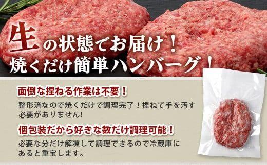 石垣島産 黒毛和牛 生ハンバーグ 120g x 6個 【沖縄 石垣 石垣島産 黒毛和牛 和牛 ハンバーグ】 UN-1