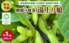【数量限定】朝採り枝豆（湯上り娘）1kg（250g×4パック）（栽培期間中農薬・化学肥料・除草剤不使用）（2027年7月上旬～発送） おつまみ 農家応援 京都産 えだまめ 朝採れ 農家直送　KU00070