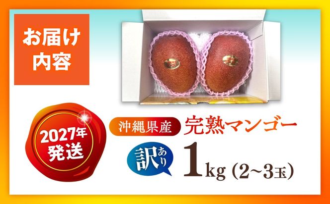 【先行予約】【優秀賞受賞】沖縄県産 完熟マンゴー 訳アリ 1kg (2〜3玉) マンゴー 沖縄 果物 フルーツ ギフト 沖縄市 / MAIFARM[BCAN003]
