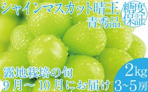 2026年 先行予約受付中 シャインマスカット晴王 約2kg(3～5房） 岡山県産 種無し 皮ごと食べる みずみずしい 甘い フレッシュ 瀬戸内 晴れの国 おかやま 果物大国 ハレノフルーツ