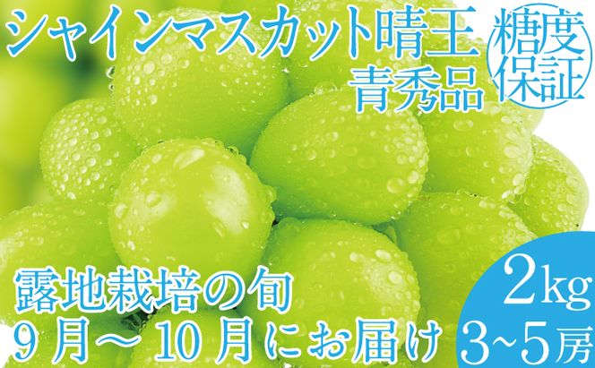 2026年 先行予約受付中 シャインマスカット晴王 約2kg(3～5房） 岡山県産 種無し 皮ごと食べる みずみずしい 甘い フレッシュ 瀬戸内 晴れの国 おかやま 果物大国 ハレノフルーツ