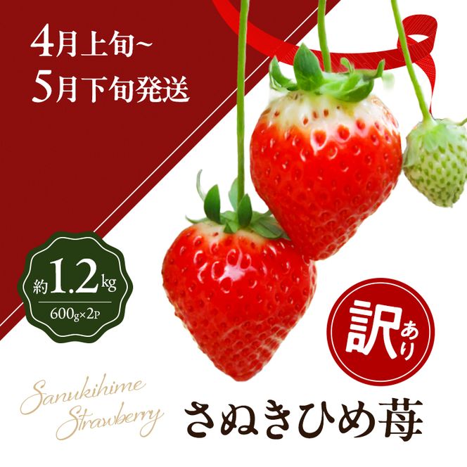 讃岐のいちご定期便（全3回）【さぬきひめ】