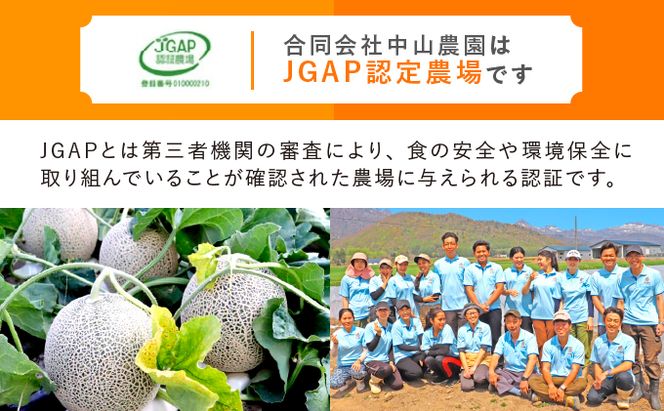 【2026年春発送】中山農園から贈る 緑と彩りのハーモニー定期便(アスパラ/メロン/野菜セット) アスパラガス アスパラ メロン フルーツ いも じゃがいも 玉ねぎ たまねぎ かぼちゃ 南瓜 新鮮 野菜 産地直送 果物 甘い 贈り物 ギフト 道産 数量限定 北海道 富良野市