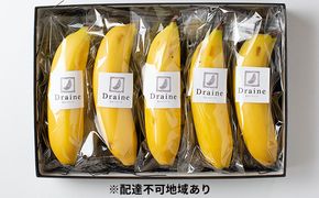 皮ごと食べられる！Draine 金のバナーナ 5本（1本140g～170g 農薬不使用国産バナナ） 果物詰合せ フルーツ 