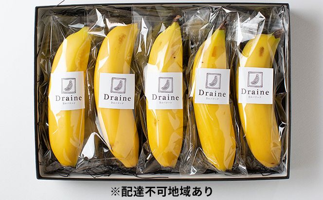 皮ごと食べられる！Draine 金のバナーナ 5本（1本140g～170g 農薬不使用国産バナナ） 果物詰合せ フルーツ 