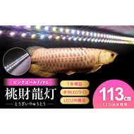 金龍の鱗を美しく照らす!ピンクゴールドの水中アロワナライト|PG120-EX［172C16］金龍 ピンクゴールド 照射 水中 アロワナ 水槽ライト テンニングライト LED ライト 照明 水中照明 光 綺麗 美観 強化ガラス 耐久性 1年保証 吸盤 簡単 設置 でんらい インテリア 雑貨 愛知県 小牧市 送料無料