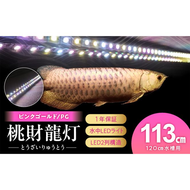 ymqsz̗؂Ƃ炷!sNS[h̐AiCg|PG120-EXm172C16n sNS[h Ǝ  Ai Cg ejOCg LED Cg Ɩ Ɩ  Y  KX ϋv 1Nۏ z ȒP ݒu ł炢 Ce