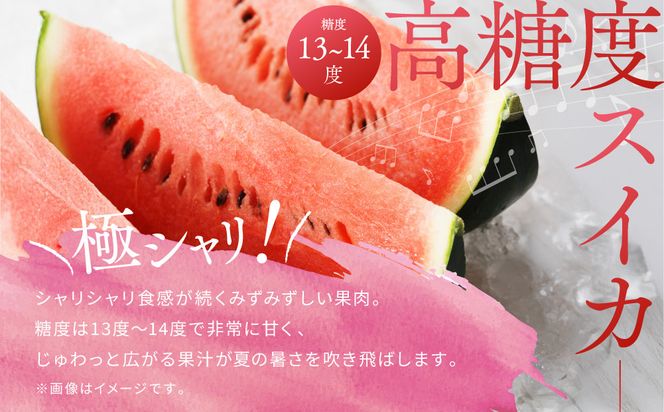 【先行予約】798.種ごと食べられる！小玉スイカ【ピノ・ガール】2玉（1玉2kg前後×2玉）※着日指定不可※離島への配送不可 313726_BQ007